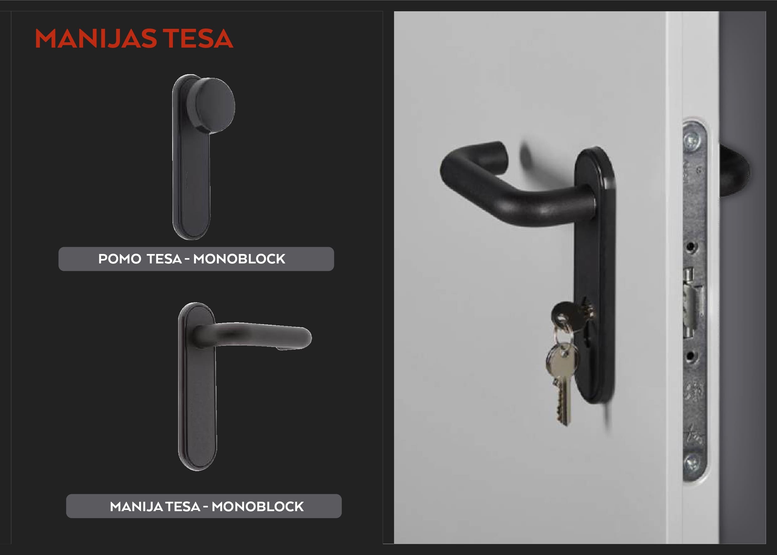 Manijas y Escudos TESA